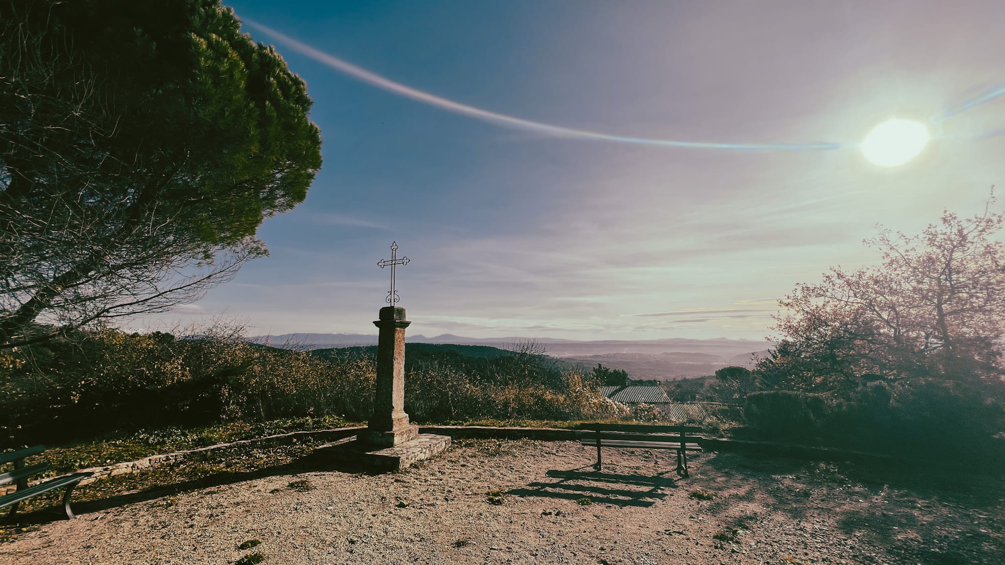 [Column] （会員限定）"Lettre" を極上に味わう方法